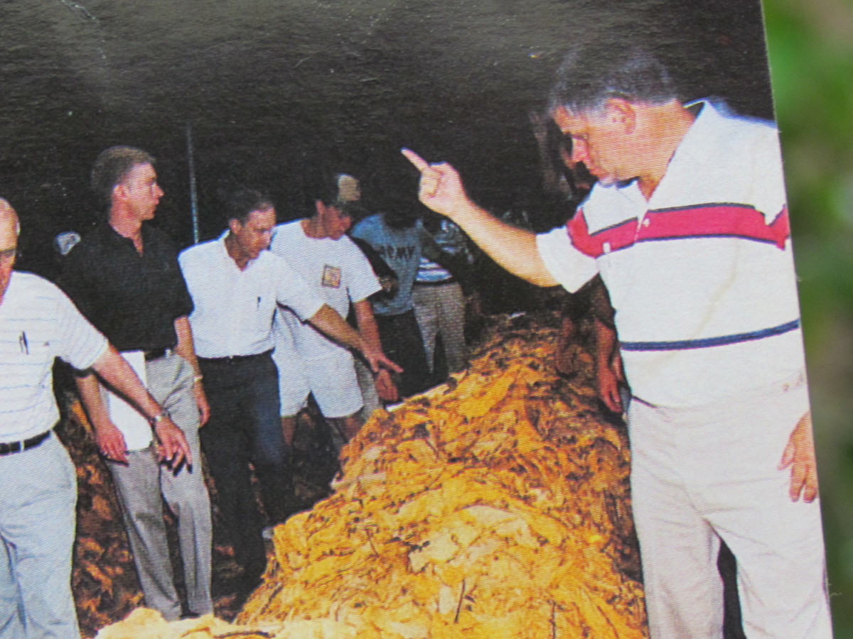 A photo of those tobacco markets which caused Mullins to be one of the largest in the world.