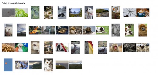 39 images on my portolio