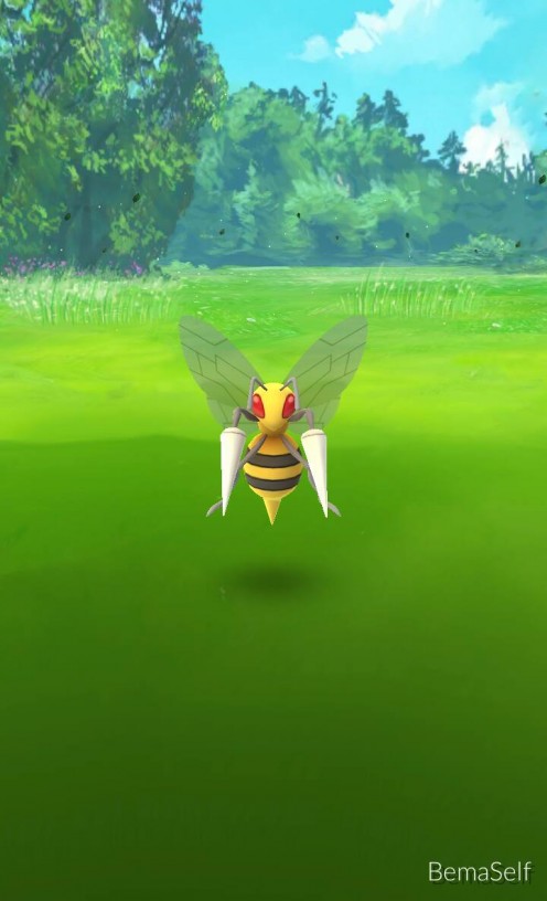 Screenshot of a Beedrill Pokemon right before I caught it!