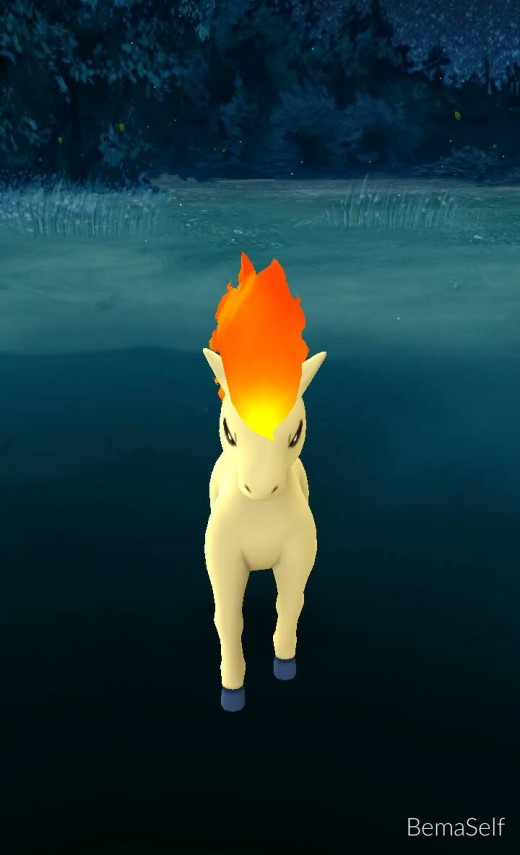 A "Ponyta" Pokemon that galloped right up to my house while I was using a lure. Definitely a rare but welcome find! Ponyta has always been one of my favorites!