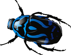 The rare Blue Beetle was the alleged source of the break-up of the Caldwell reunion
