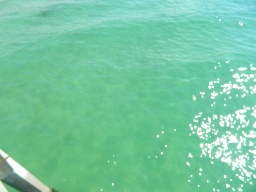 View from the pier