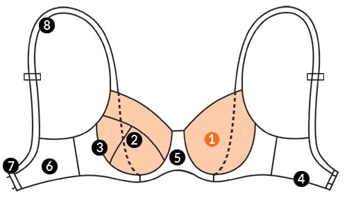 Anatomy of a bra.