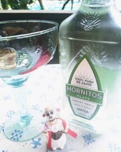 A review of refreshing Hornitos Tequila + recipes