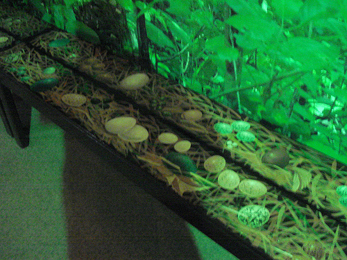 This is a bench in Eggs World. Such is the attention to detail in this wonderful exhibit.