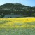 Mount Scott in the Wichita Mountains. Mount Scott in the Wichita Mountains.
