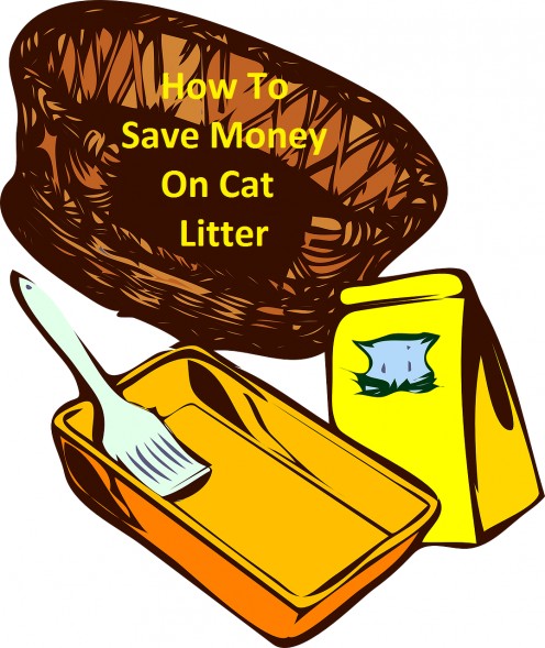 Cheapest Litter Options For Cats Cheapest Litter Options For Cats