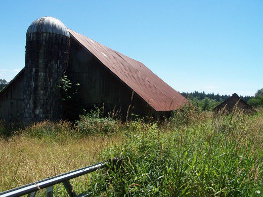Oh how he loved those barns!
