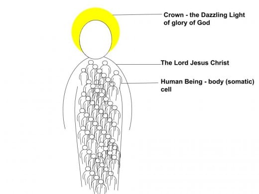 This diagram portrays how the souls of God's people are contained in Christ. All who are in Christ have eternal life because they are contained in Christ who lives forever. They have eternal life through faith in the Lord Jesus.