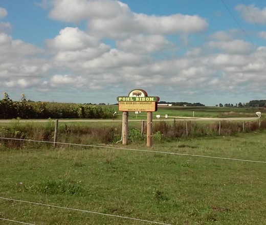 Pohl's Bison Ranch