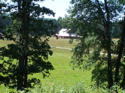 Walking the countryside