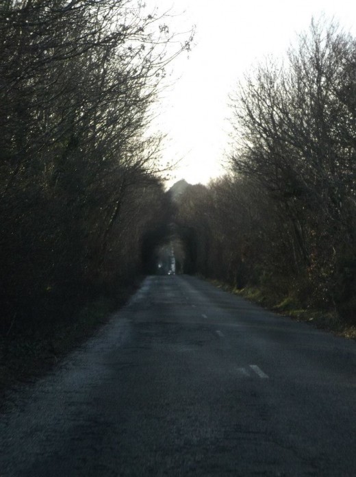 Country road leading from Screen Enniscorthy.