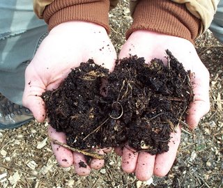 Compost