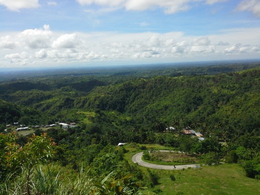 Forestlands in Municipality of Talaingod, Davao del Norte, Mindanao, Philippines