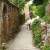 Walking a dog along a path up by the city wall in Rothenburg. Walking a dog along a path up by the city wall in Rothenburg.