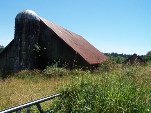 An abandoned barn.