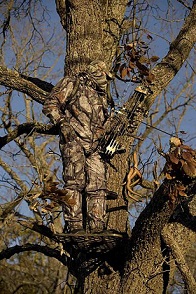 Hunter in a Tree Stand