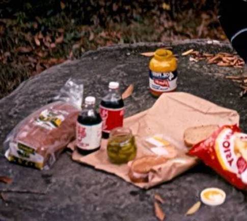 picnic on a rock