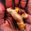 Turmeric: The Super Spice