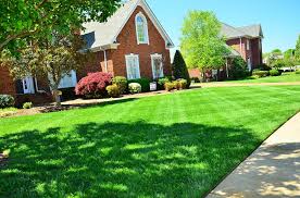 Instantly beautify your new lawns with sods using sod staples or landscape staples.