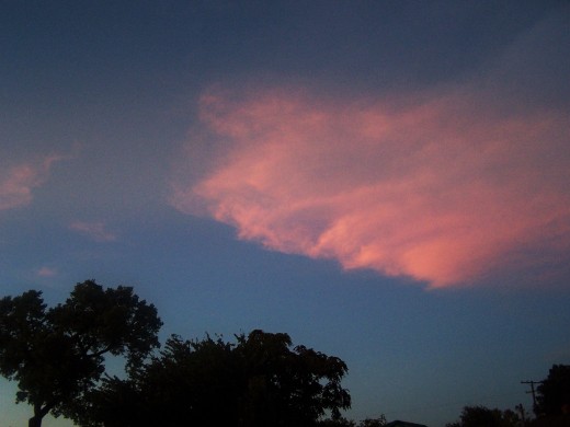 One beautiful brush stroke...
