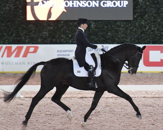 Judy Reynolds riding Vancouver K from Ireland.