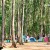 The magical trees in the place. I salute the locals for not cutting them and replacing with some structures. I prefer to stay in tent to preserve the bucolic environment. The magical trees in the place. I salute the locals for not cutting them and replacing with some structures. I prefer to stay in tent to preserve the bucolic environment.