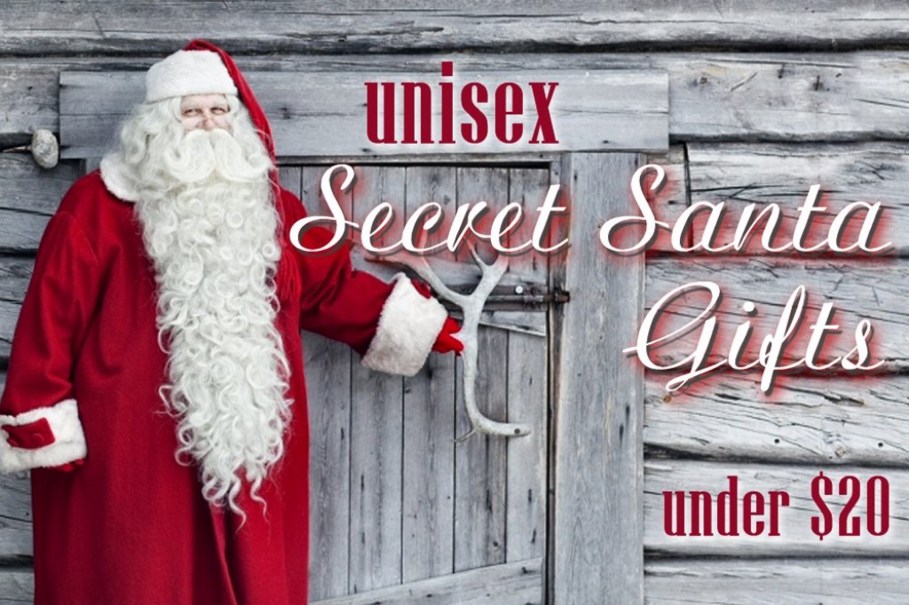 Unisex Secret Santa Gift Ideas for Under $20 | Holidappy