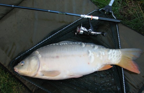 Best Telescopic Fishing Rods Best Telescopic Fishing Rods