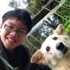 Max Chee profile image