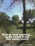 How Can I Tell If It Is Stress Or Anxiety?