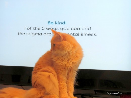 End the Stigma Around Mental Illness