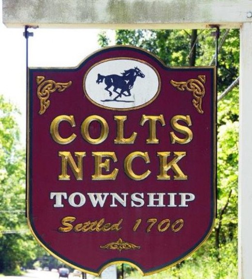 Image result for welcome to colts neck nj
