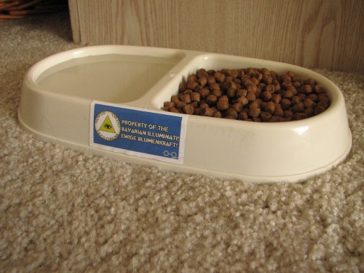 Food bowls can also come in compartments for water and food separately.