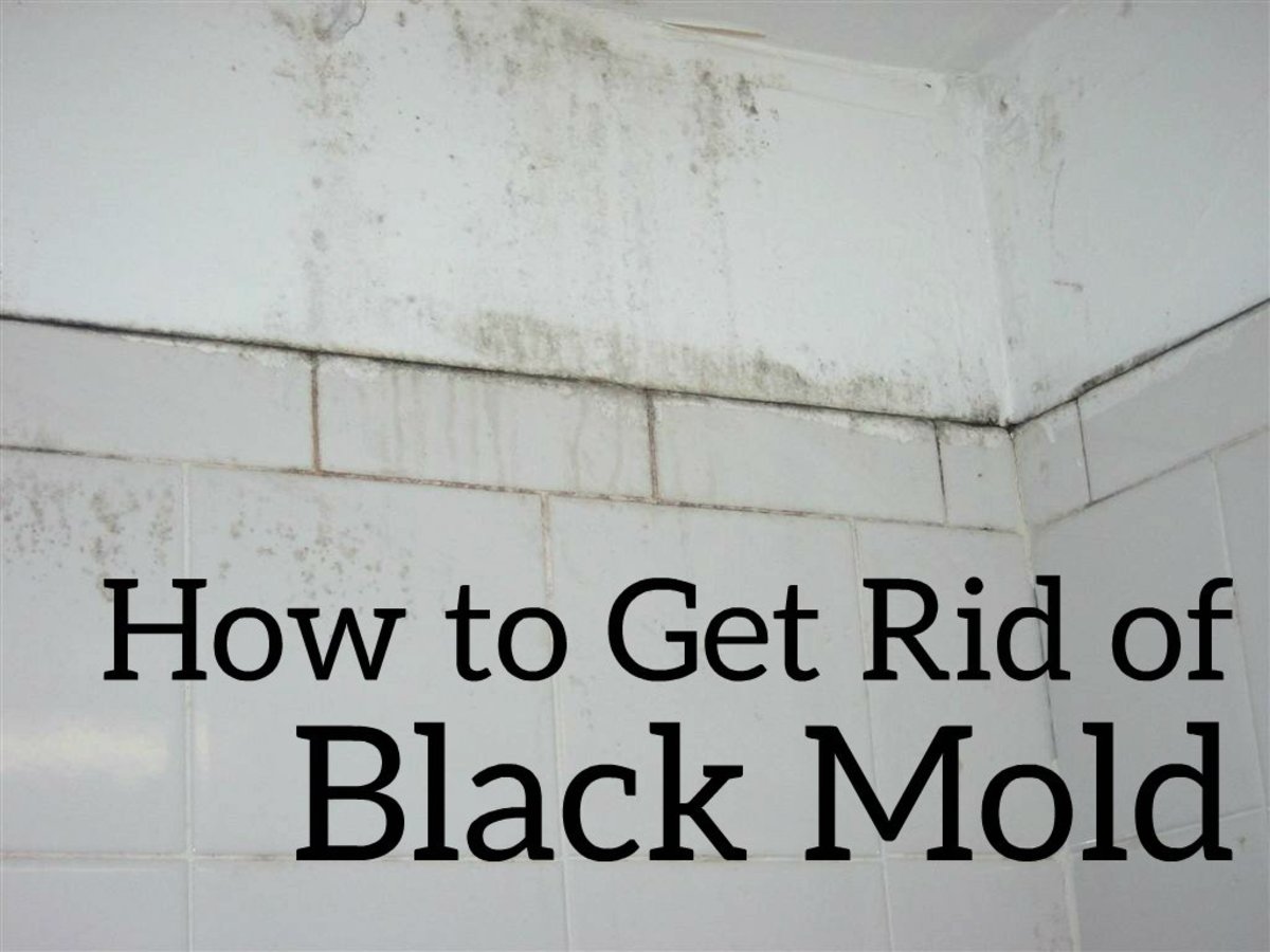 What are the causes of black mold?