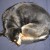 http://www.flickr.com/photos/wakxy/2039304505/ http://www.flickr.com/photos/wakxy/2039304505/