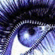 cityslickermom profile image