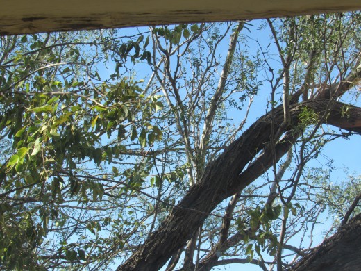 Sitting by the window in an office chair can be a great place to meditate for a few minutes. 