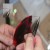 Form a hoop with the extra wire length using your needle nose pliers Form a hoop with the extra wire length using your needle nose pliers