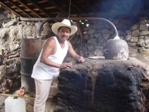 Mexican peon, or campesino, working at mezcal still