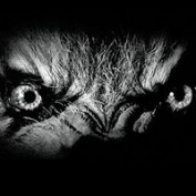 Gavin De Wulf profile image
