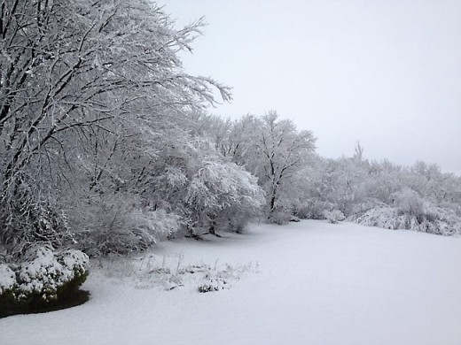 The Christening  Snow