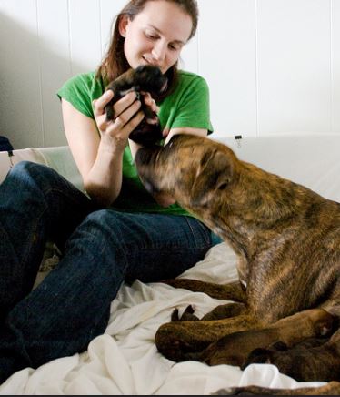 interesting facts about the runt in the litter