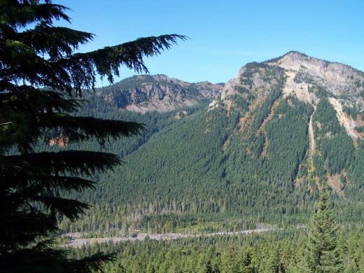 Western Washington comes into view