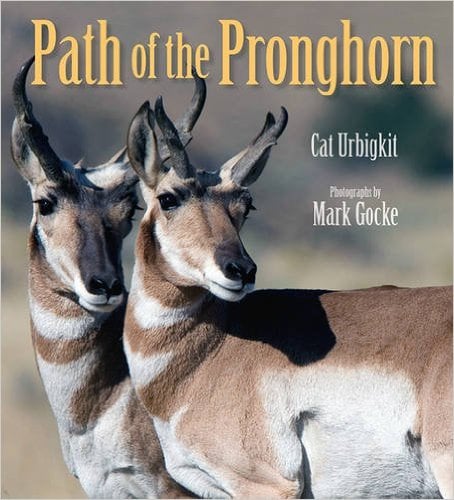 Path of the Pronghorn by Cat Urbigkit - Book images are from amazon.com.