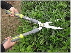 Shrub Trimmers: Choosing The Right Tool For Your Hedge Trimming Needs