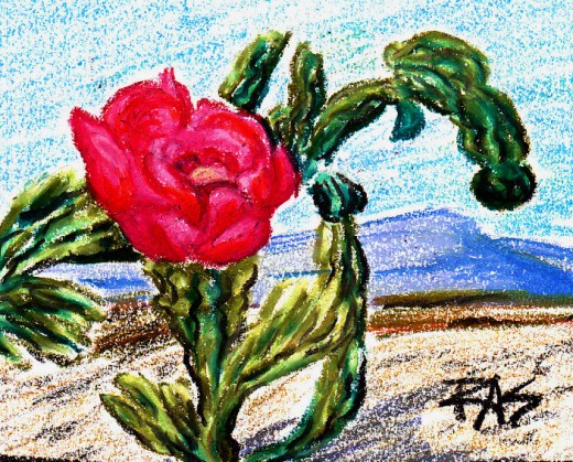 Cholla cactus bloom, oil pastels, Robert A. Sloan