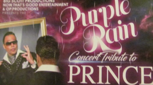 Promotional information on the Purple Rain Concert Tribute to Prince