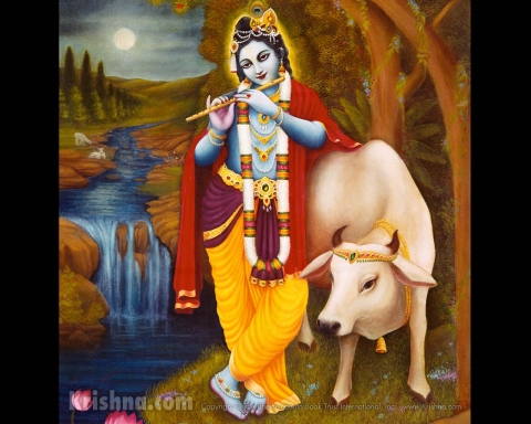 Lord Krishna