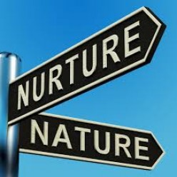 Nurture takes Precedence over Nature?